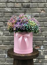 Цветочная композиция из Гипсофила и Розы в шляпной коробке #REPLACE_PRED# Петра Дубрава