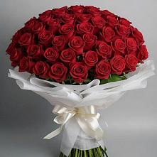 Букет 101 Красная роза Блэк Мэджик в Петра Дубрава