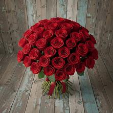 Букет 55 Красных роз Фридом #REPLACE_PRED# Петра Дубрава