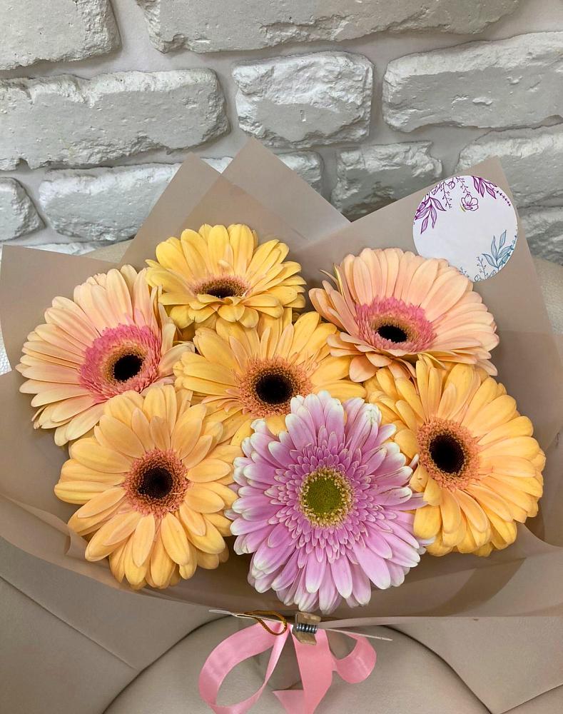 Букет цветов из: Герберы в Петра Дубрава