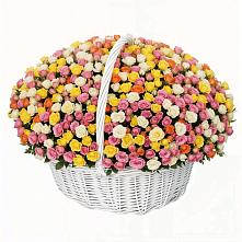 Премиум букет из: Розы в Петра Дубрава