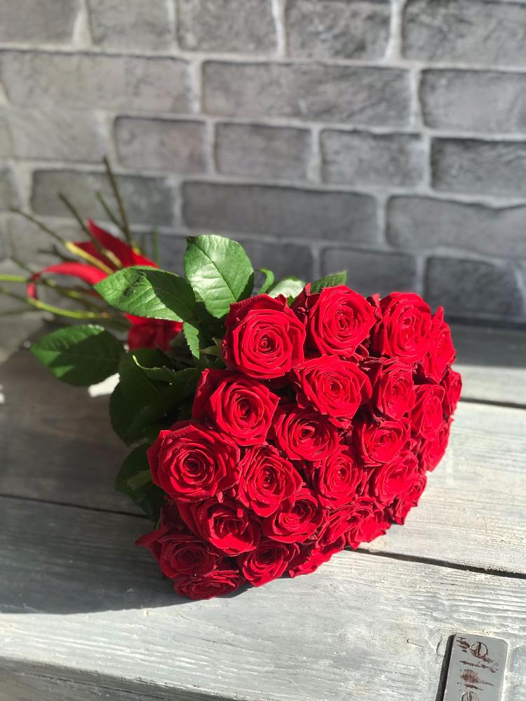 Букет Красные розы Фридом в Петра Дубрава