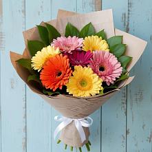 Букет цветов из:  Герберы #REPLACE_PRED# Петра Дубрава