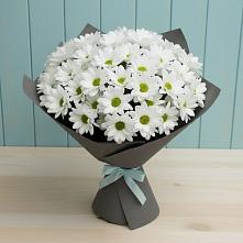 Букет цветов из:  Хризантемы #REPLACE_PRED# Петра Дубрава
