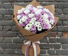 Букет цветов из:  Хризантемы в Петра Дубрава