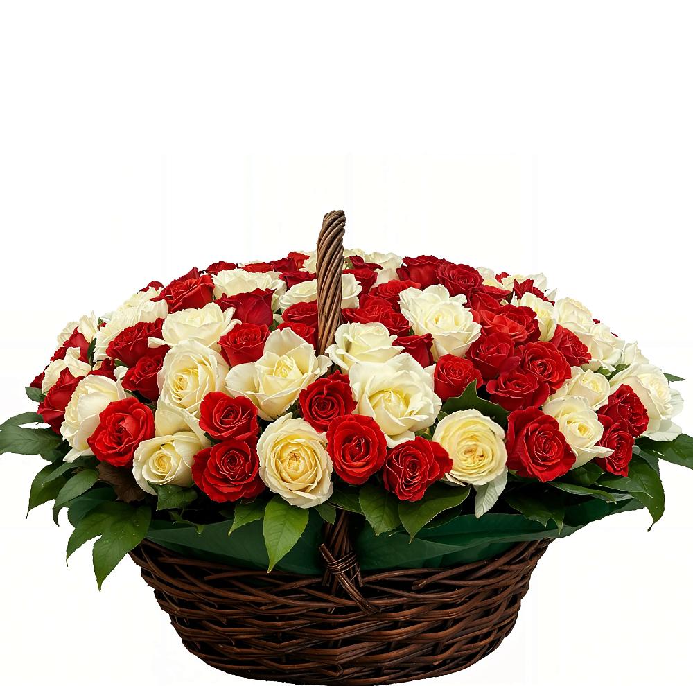 Премиум букет из: Розы в Петра Дубрава