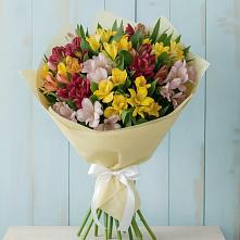 Букет цветов из:  Альстромерии в Петра Дубрава