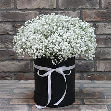 Цветочная композиция из Гипсофила в шляпной коробке в Петра Дубрава