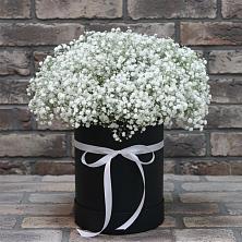 Цветочная композиция из Гипсофила в шляпной коробке в Петра Дубрава