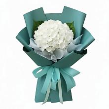 Букет цветов из:  Гортензия в Петра Дубрава